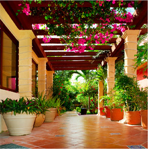 (HỘ KINH DOANH) LÂM THỊ THO